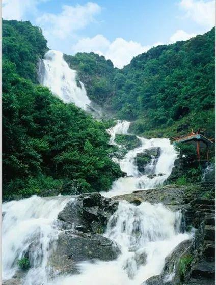 阴暗森林